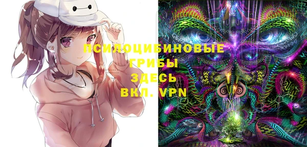 шишки Горнозаводск
