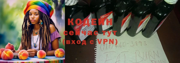 шишки Горнозаводск
