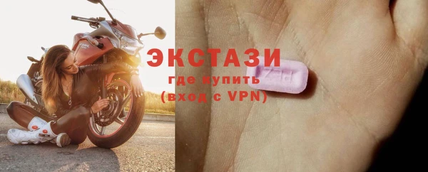 гидра Горняк