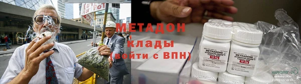 гидра Горняк