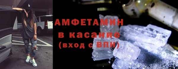 гидра Горняк