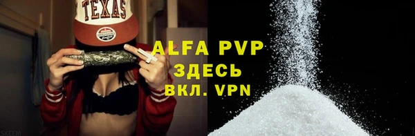 гидра Горняк