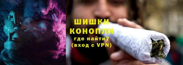 шишки Горнозаводск