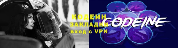 шишки Горнозаводск