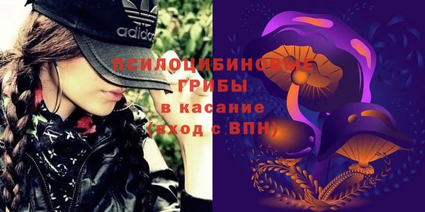 гидра Горняк