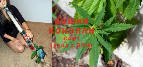 шишки Горнозаводск