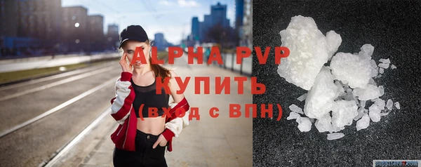 гидра Горняк