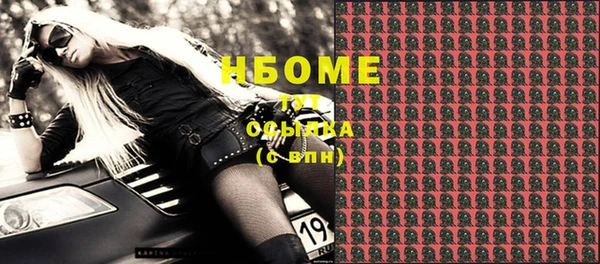 шишки Горнозаводск