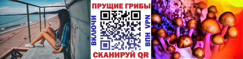 как найти закладки  Чишмы  Галлюциногенные грибы мицелий 